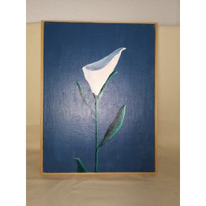 White Calla