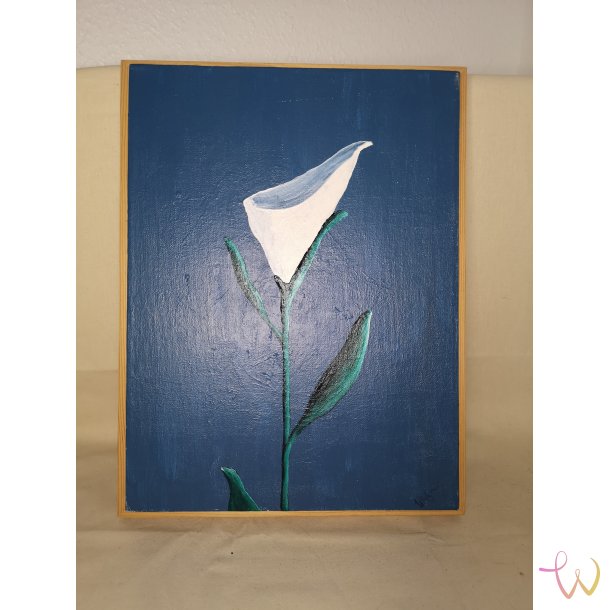 White Calla