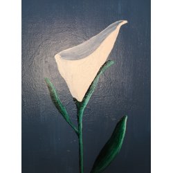 White Calla