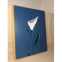 White Calla