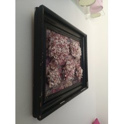 Flower Spots i sort ramme