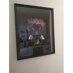 Black Panther i glasramme