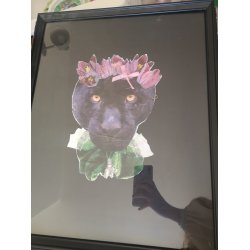 Black Panther i glasramme