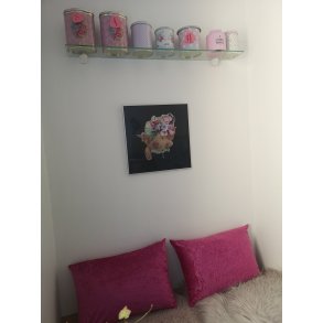 Babe's Blomsterkrone indrammet