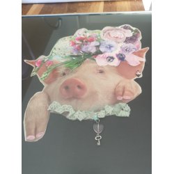 Babe's Blomsterkrone indrammet